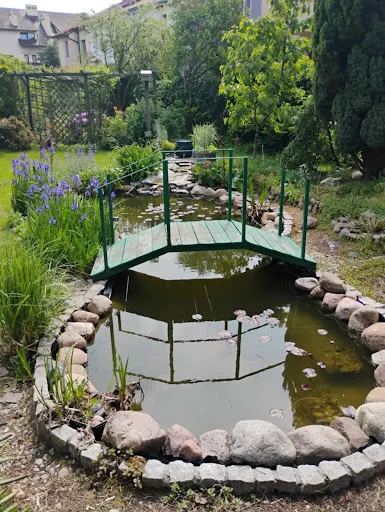 Zakładanie i Pielęgnacja ogrodów, Trawa z rolki Gdynia - Fantastyczne Ogrody